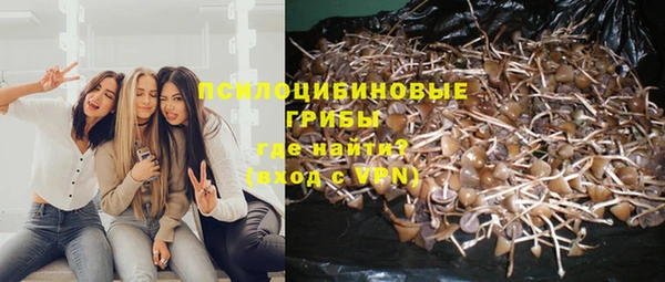 прущая мука Алзамай