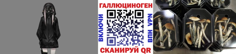Галлюциногенные грибы MAGIC MUSHROOMS  как найти наркотики  Томмот 